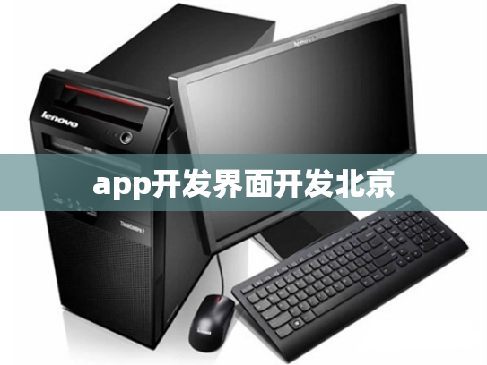 app开发界面开发北京