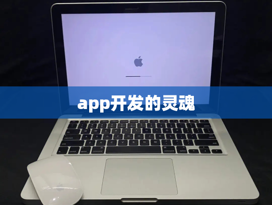 app开发的灵魂
