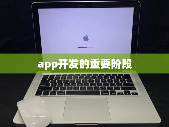 app开发的重要阶段