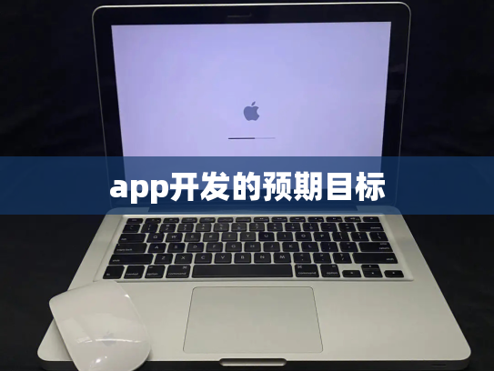 app开发的预期目标