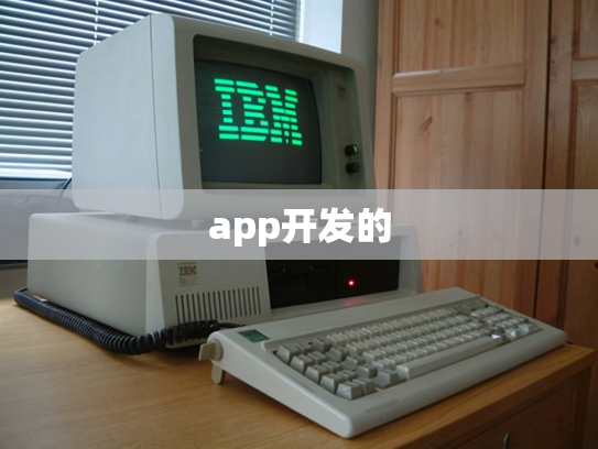 app开发的