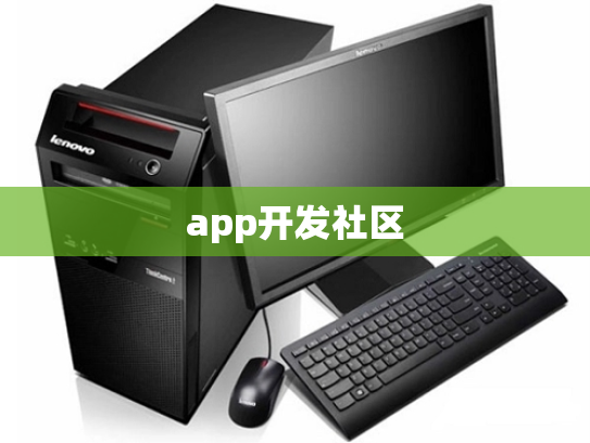 app开发社区