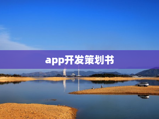 app开发策划书