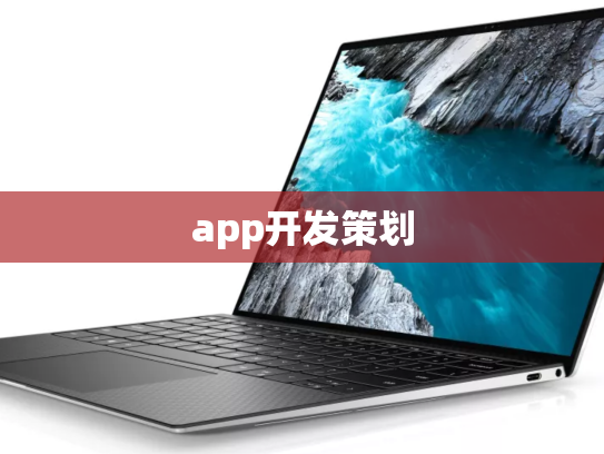 app开发策划