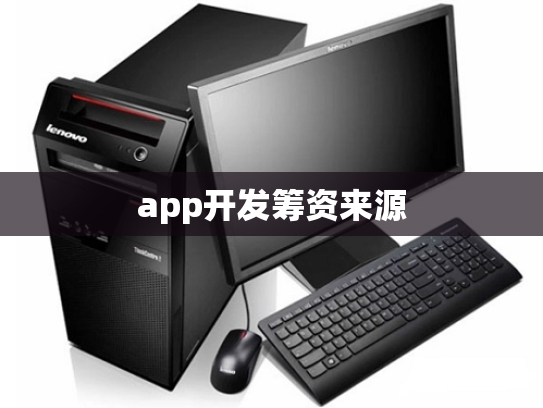 app开发筹资来源