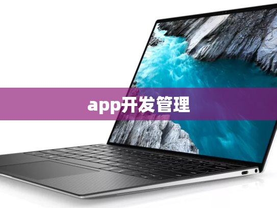 app开发管理