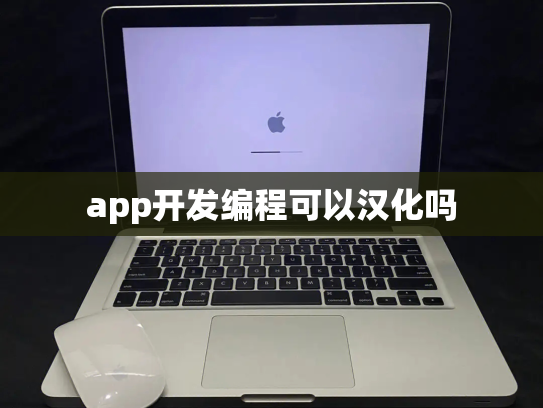 app开发编程可以汉化吗