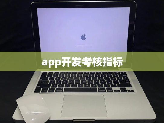 app开发考核指标