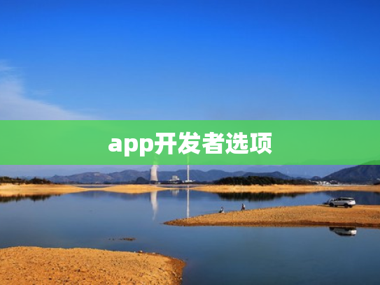 app开发者选项