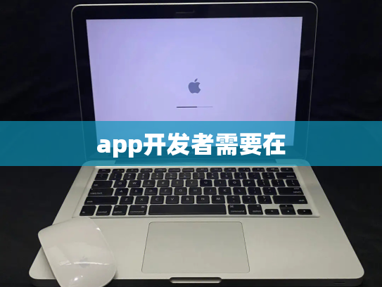 app开发者需要在