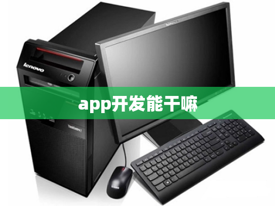 app开发能干嘛