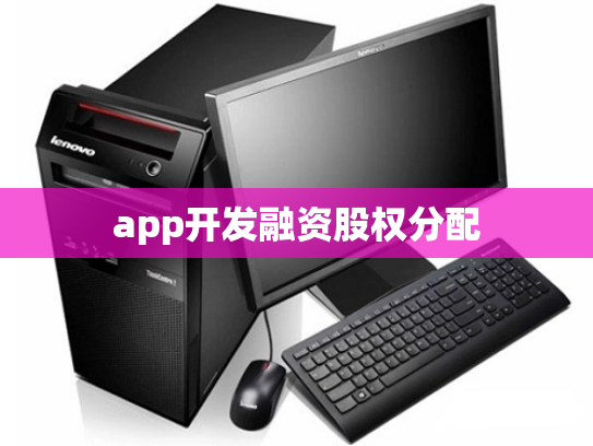 app开发融资股权分配