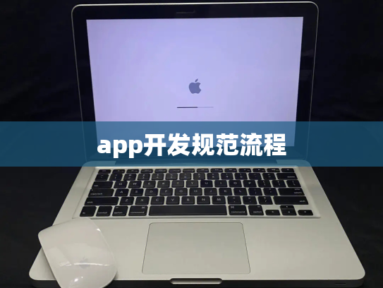 app开发规范流程
