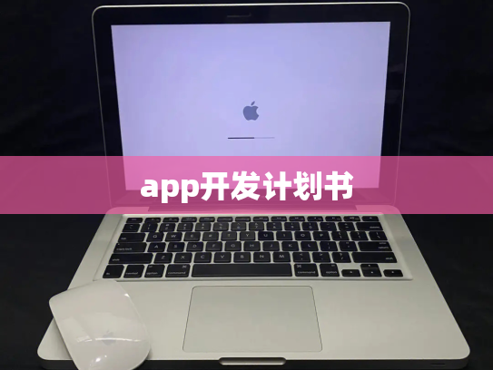 app开发计划书