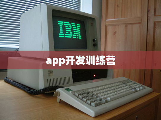 app开发训练营