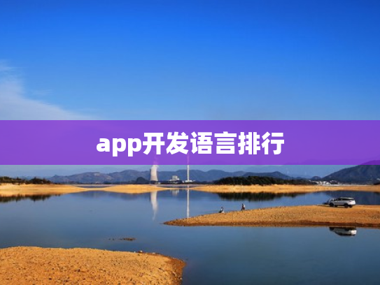 app开发语言排行