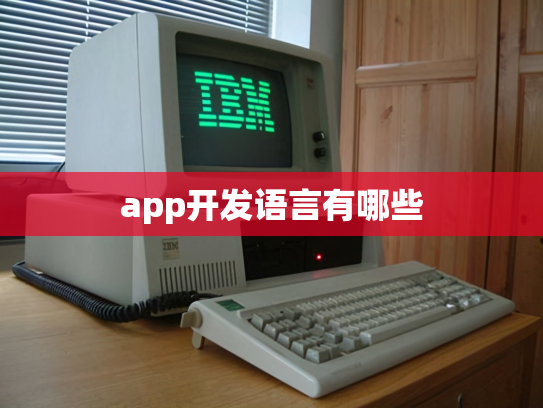 app开发语言有哪些