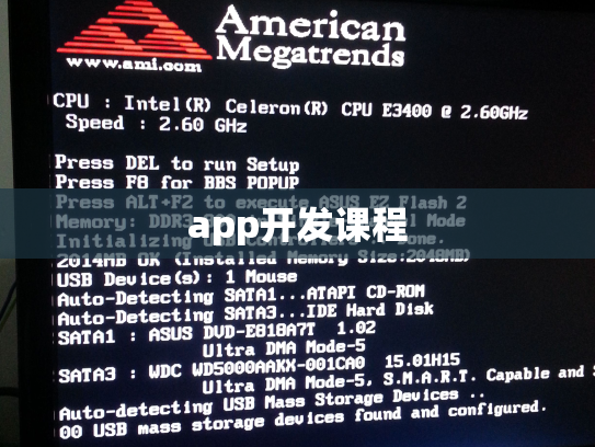 app开发课程