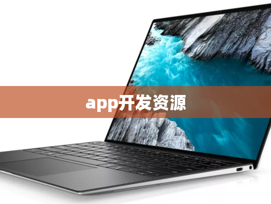 app开发资源
