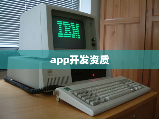 app开发资质