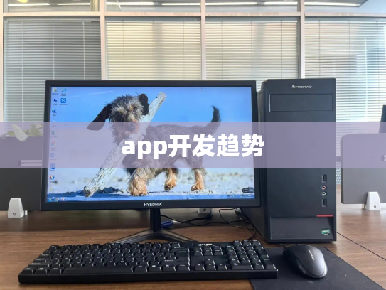 app开发趋势
