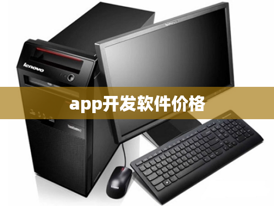 app开发软件价格