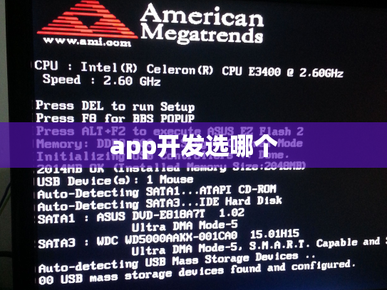 app开发选哪个