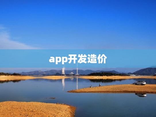 app开发造价