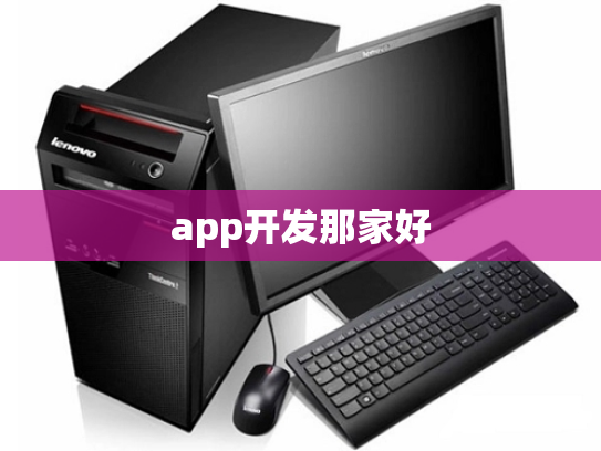 app开发那家好