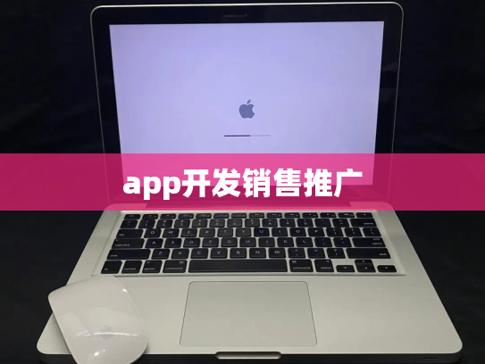 app开发销售推广
