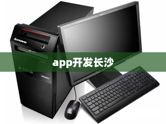 app开发长沙