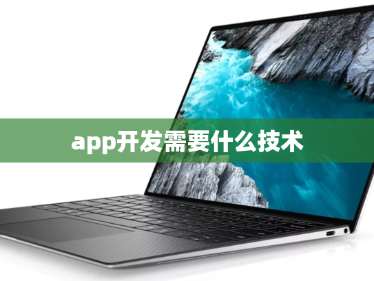app开发需要什么技术