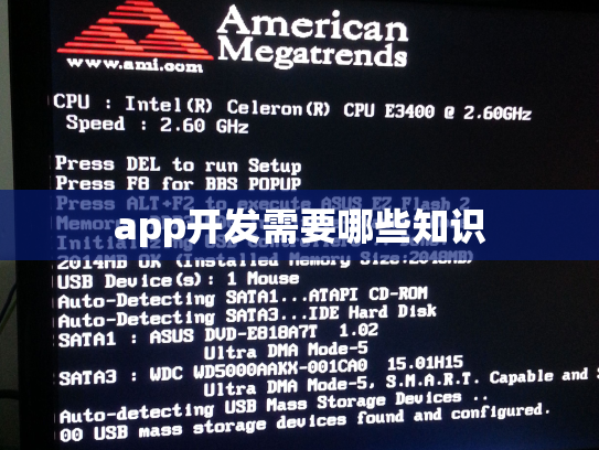 app开发需要哪些知识