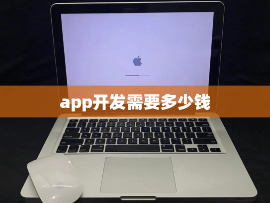 app开发需要多少钱