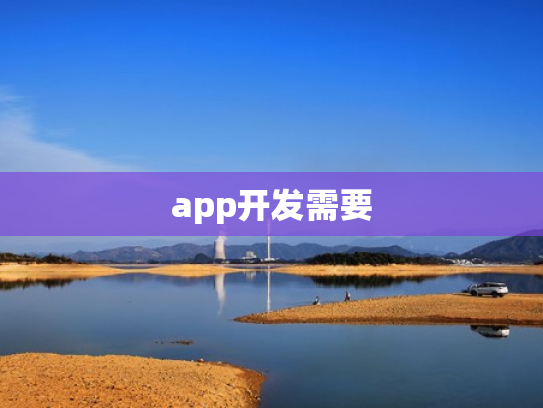 app开发需要