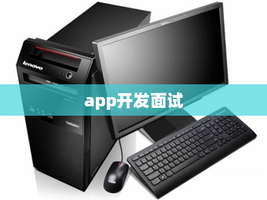 app开发面试