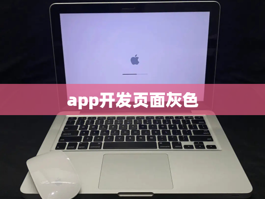 app开发页面灰色
