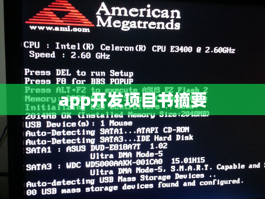 app开发项目书摘要