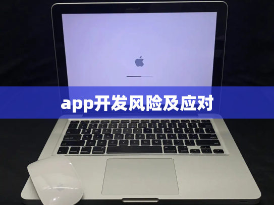 app开发风险及应对