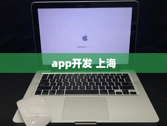 app开发 上海