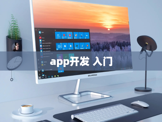 app开发 入门