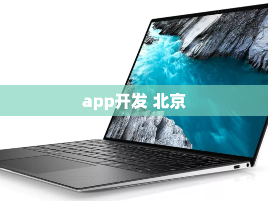 app开发 北京