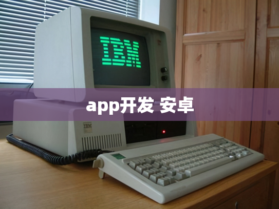 app开发 安卓