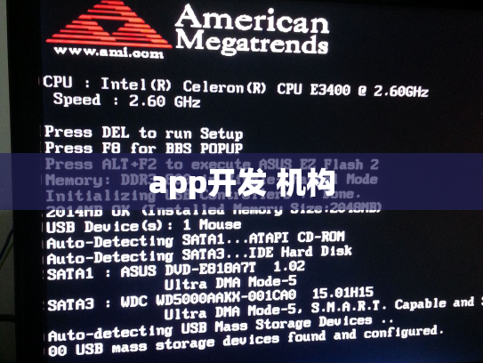 app开发 机构