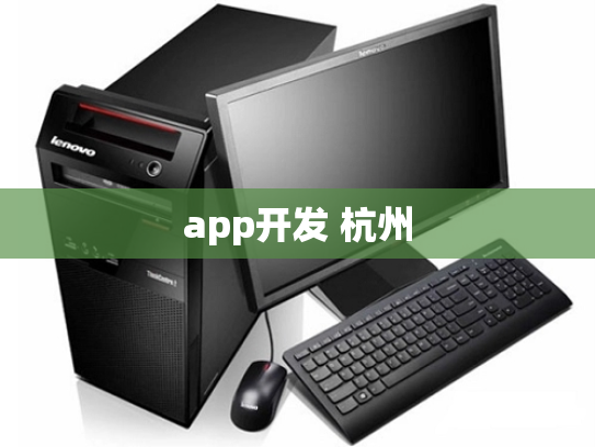 app开发 杭州