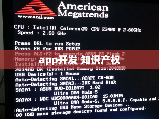 app开发 知识产权