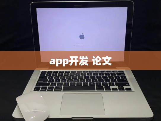 app开发 论文