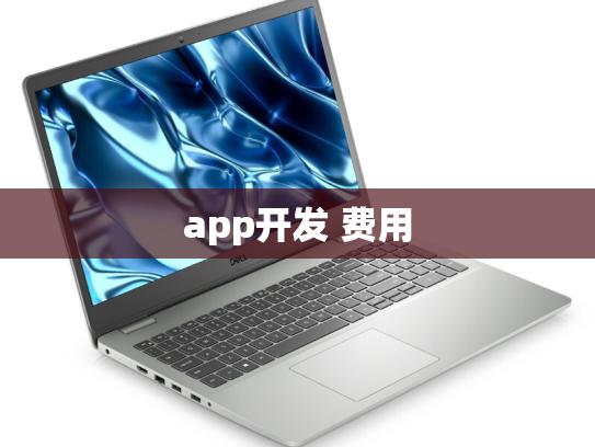 app开发 费用
