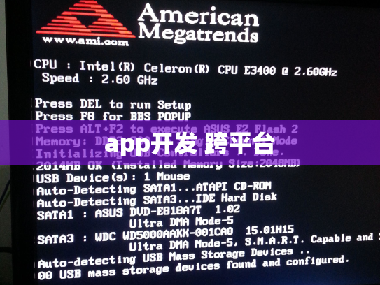app开发 跨平台
