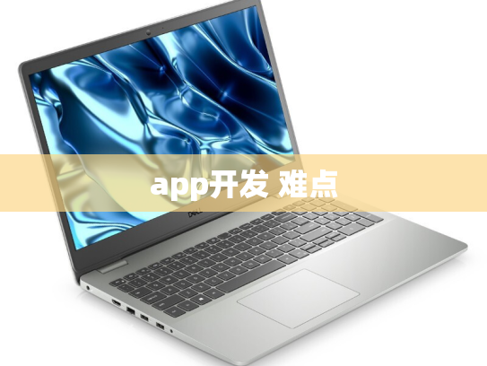 app开发 难点